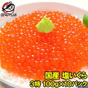 【送料無料】塩イクラ 1kg 100g×10パック 厳選の国産3特グレードの本格塩イクラ！皮までトロける上物。ギフトに大人気！【塩いくら いくら塩漬け いくら丼 イクラ丼 海鮮丼 北海道 サーモン 鮭 豊洲市場 寿司 料理 ギフト】【smtb-T】rn