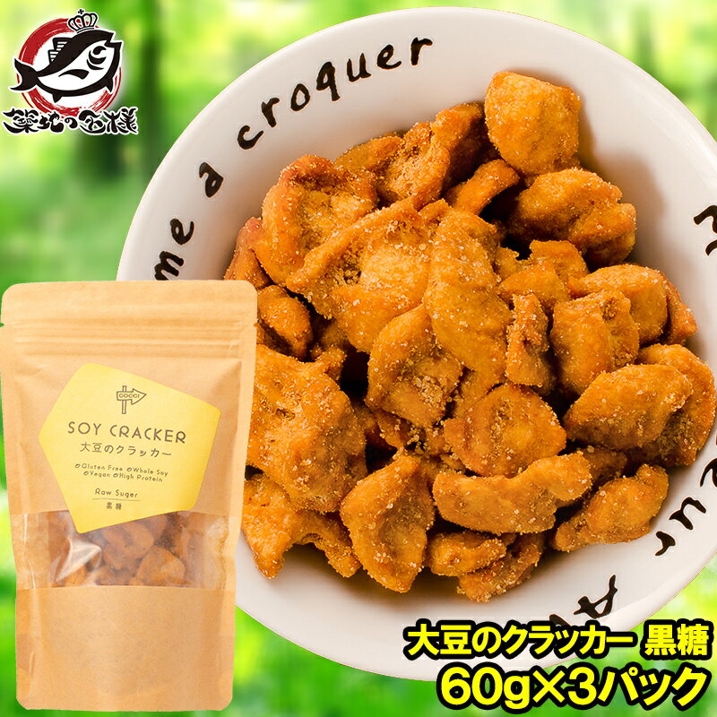 【メール便 送料無料】 大豆のクラッカー ソイクラッカー 黒糖 60g ×3パック お菓子 おやつ 大豆ミート ソイミート 大豆肉 大豆のお肉 低糖質 高たんぱく 食物繊維 グルテンフリー 置き換え ダイエット 低カロリー ヴィーガン ビーガン 常温商品【smtb-T】