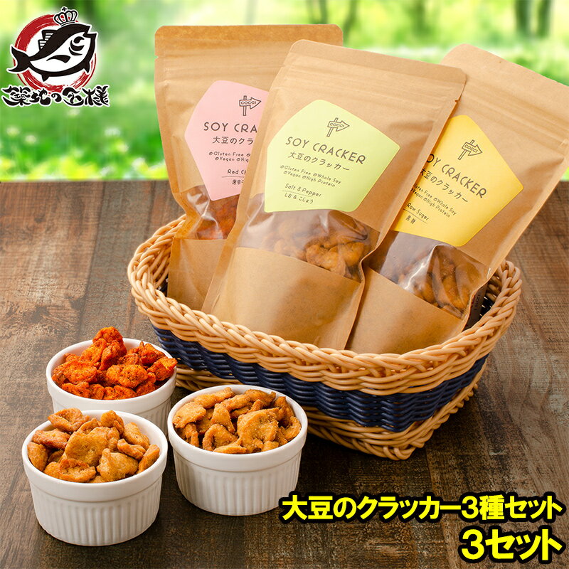 【メール便 送料無料】 大豆のクラッカー ソイクラッカー 三種セット しお&こしょう 黒糖 唐辛子 60g 各3パック 合計9パック お菓子 おやつ 大豆ミート ソイミート 大豆肉 大豆のお肉 低糖質 高たんぱく 食物繊維 グルテンフリー ヴィーガン ビーガン 常温商品【smtb-T】のサムネイル