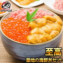 海鮮丼 ギフト 送料無料 海鮮福袋 築地の海鮮丼セット 至高 約2〜3人前 王様のネギトロ＆無添加生ウニ＆北海道産いくら。解凍してご飯にのせるだけで海鮮丼！ギフトに最適な3商品セット うに イクラ ねぎとろ 詰め合わせ 寿司 刺身 築地市場 豊洲市場 おせち 単品おせち【あす楽】