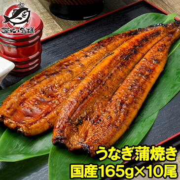 【送料無料】 国産うなぎ蒲焼き 大サイズ 平均165g前後×10尾 柔らかうなぎを丁寧に焼き上げた！まさに国産の最高級品質。デパ地下にも卸しています【うなぎ ウナギ 鰻 うな丼 うな重 ひつまぶし 土用の丑 ギフト 築地市場 豊洲市場】【smtb-T】