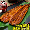 送料無料 国産うなぎ蒲焼き 大サイズ 平均165g前後×2尾 柔らかうなぎを丁寧に焼き上げた!まさに国産の最高級品質。デパ地下にも卸しています うなぎ ウナギ 鰻 うな丼 うな重 ひつまぶし 土用の丑 ギフト 築地市場 豊洲市場