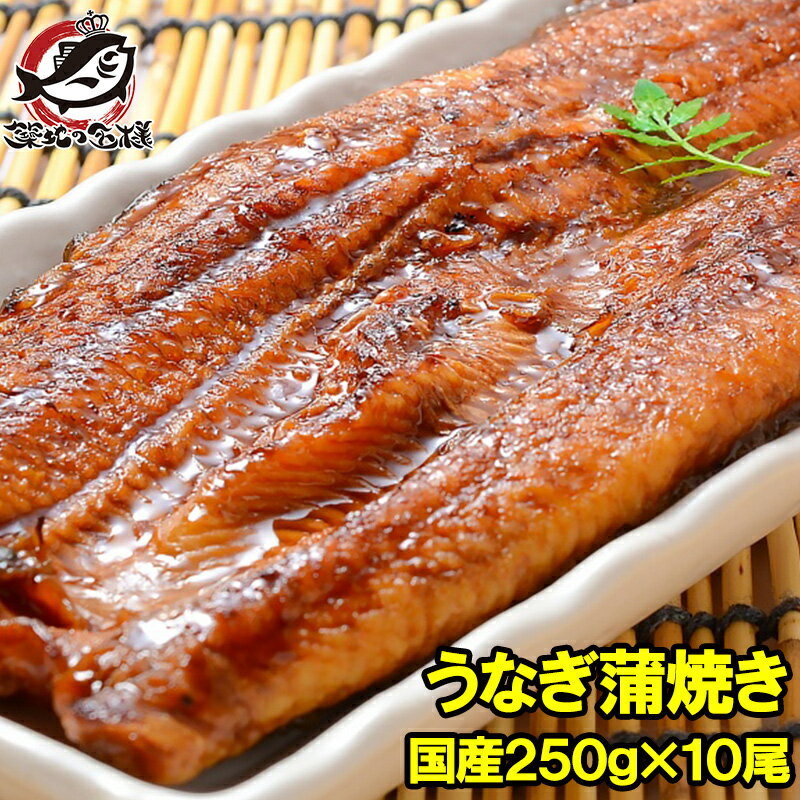 送料無料 超特大 国産うなぎ蒲焼き 平均250g前後×10尾