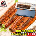 国産うなぎ蒲焼き ギフト箱 2箱 平均140g前後×4尾入り 柔らかうなぎを丁寧に焼き上げた国産の最高級品質 デパ地下にも卸す逸品 土用の丑 うなぎ ウナギ 鰻 うな丼 うな重 ひつまぶし ギフト 築地市場 豊洲市場