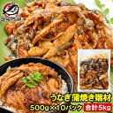 うなぎ 切り落とし 端材 500g×10パック 合計5kg 訳ありうなぎ蒲焼き 刻みうなぎ 鰻 ウナギ 土用の丑 うな丼 うな重 ひつまぶし うざく カット済み カットうなぎ 詰め合わせ 豊洲市場
