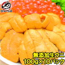 うに 冷凍 生うに 無添加 100g×10パック 1kg 最高級Aグレード うに丼約20杯分 ウニ ウニ丼 刺身 うにパスタ うにスパゲッティ うに軍艦..