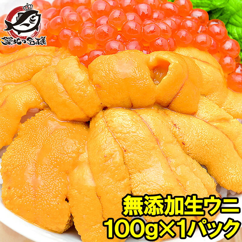 うに 冷凍生うに100g うに丼約2杯分 うに ウニ うにパ