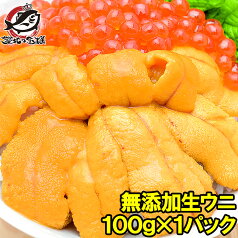 うに 冷凍生うに 無添加 100g 最高級Aグレード うに丼約2杯分のお試しサイズ ウニ ウニ丼 刺身 うにパスタ うにスパゲッティ うに軍艦 いちご煮 海鮮丼 手巻き寿司 寿司ねた 築地市場 豊洲市場 おせち 単品おせち ギフト【あす楽】