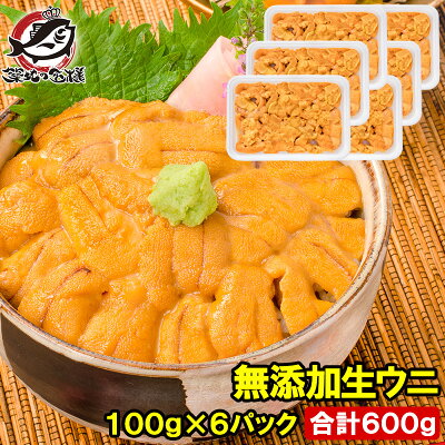 送料無料 うに 冷凍生うに 無添加 100g×6パック 最高級Aグレード うに丼約12杯分のお試しサイズ ウニ ウニ丼 刺身 うにパスタ うにスパゲッティ うに軍艦 いちご煮 海鮮丼 手巻き寿司 寿司ねた 築地市場 豊洲市場 おせち 単品おせち ギフト【FSJ】 - Image 1