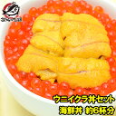 送料無料 築地市場のウニイクラ丼セット 6杯分 無添加生ウニ300g＆いくら醤油漬け300g 海鮮丼で約6杯分 うに ウニ いくら イクラ うにいくら丼 海鮮丼 手巻き寿司 寿司ネタ 刺身 築地市場 豊洲市場 福袋 おせち 単品おせち ギフト【あす楽】