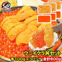 送料無料 築地市場のウニイクラ丼セット 6杯分 無添加生ウニ300g&いくら醤油漬け300g 海鮮丼で約6杯分 うに ウニ いくら イクラ うにいくら丼 海鮮丼...