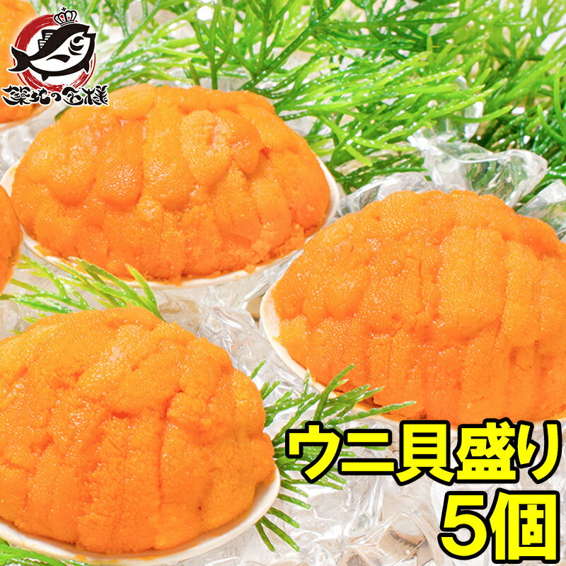 うに貝盛り 40g×5個【無添加 うに貝焼き 貝焼きうに ウニ貝盛り 焼きうに 焼きウニ 焼き雲丹 ばふんうに むらさきうに バフンウニ ムラサキウニ うに ウニ 中国産 築地市場 豊洲市場 ギフト】rn