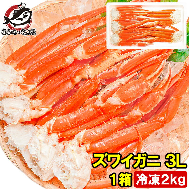 送料無料 ズワイガニ×1箱 3Lサイズ 2kg 本ズワイガニ