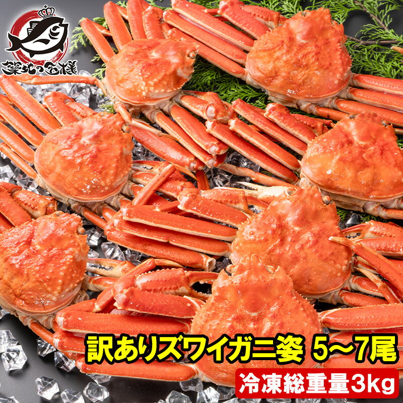 訳あり ズワイガニ 姿 3kg前後 5〜7尾 1箱 冷凍ゆでがに 本ズワイガニ ボイル冷凍 ズワイ蟹 ずわいがに かに カニ 蟹 ずわい蟹 豊洲市場 かに鍋 焼...