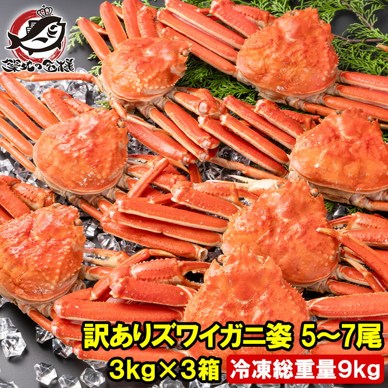 訳あり ズワイガニ 姿 合計9kg前後 15〜21尾 3kg×3箱 冷凍ゆでがに 本ズワイガニ ボイル冷凍 ズワイ蟹 ずわいがに かに カニ 蟹 ずわい蟹 豊洲...