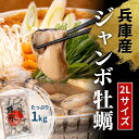 ジャンボ牡蠣大盛1kg NET850g 播磨灘 1年牡蠣 加熱用 冷凍牡蠣 2個購入500円 3個購入900円 4個購入1,400円OFF まとめ買いクーポン付