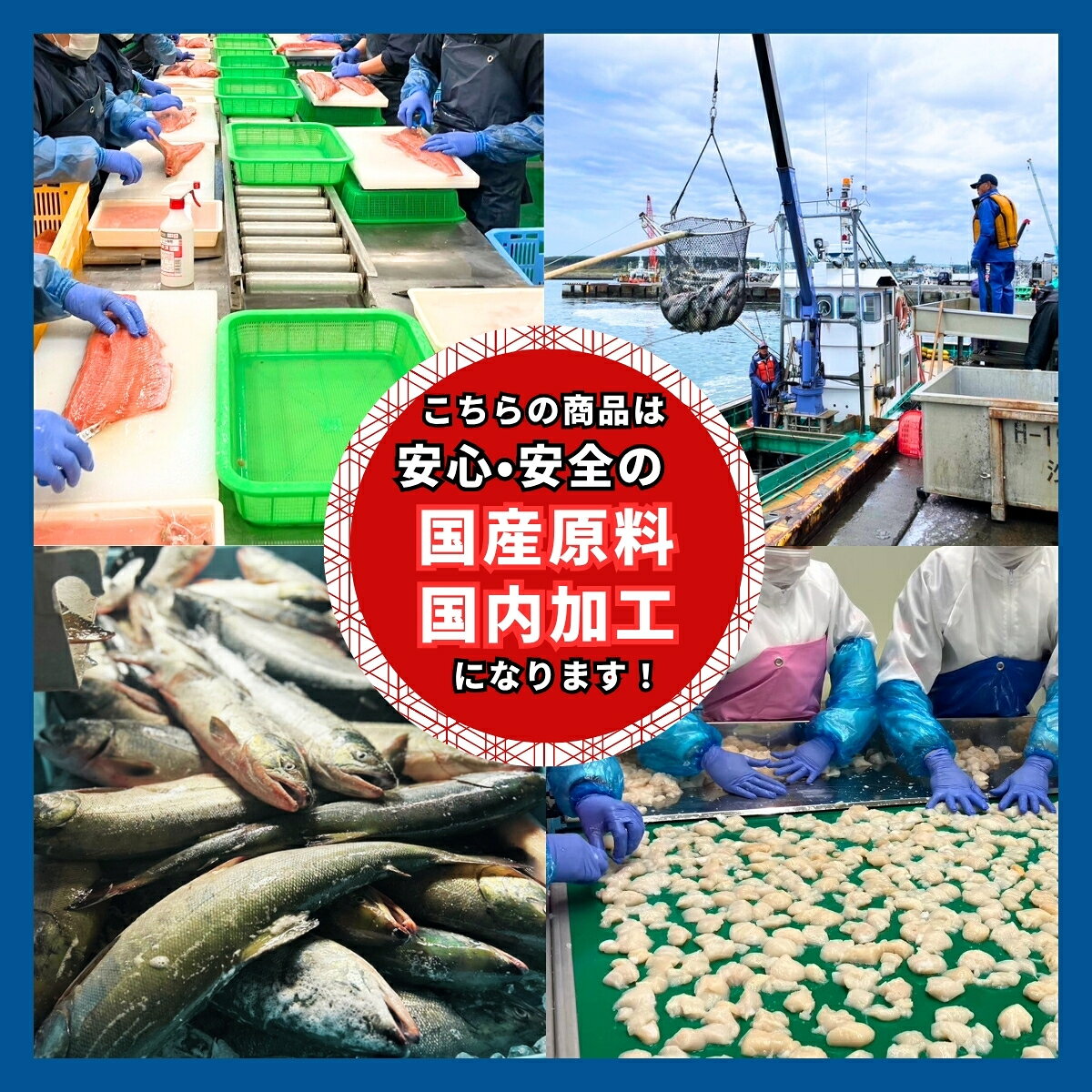【国産・国内加工】 国産さんま （北海道産） 無添加 無塩 10kg 大容量 業務用 ｜...