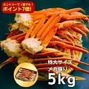 【6月は誰でもポイント7倍!要エントリー!】特大3Lサイズ(1肩300g以上) ボイルずわいがに足 爆盛5kg(約12-16肩入/5-7人前) ※若干の足折れが...
