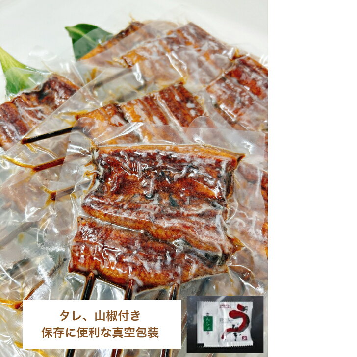 国産　大井川鰻串焼　20枚真空包装　焼き上げ調理済