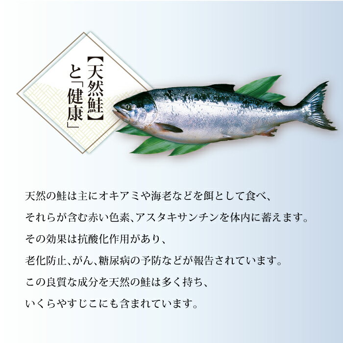 新巻鮭銀聖（半身切身）約1.2kg　北海道様似産 3