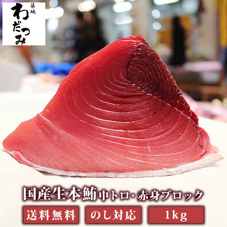 本鮪中トロ 200g 冷凍 中トロ 鮪 まぐろ マグロ 市場直送 市場 マグロ屋 鮪屋 まぐろ屋 本鮪 刺身 中とろ 生マグロ 本まぐろ 本マグロ トロ 冷蔵 高級 刺し身 ブロック ご褒美 お取り寄せ グルメ ギフト 贈り物 贈答 母の日 父の日 お中元 お歳暮