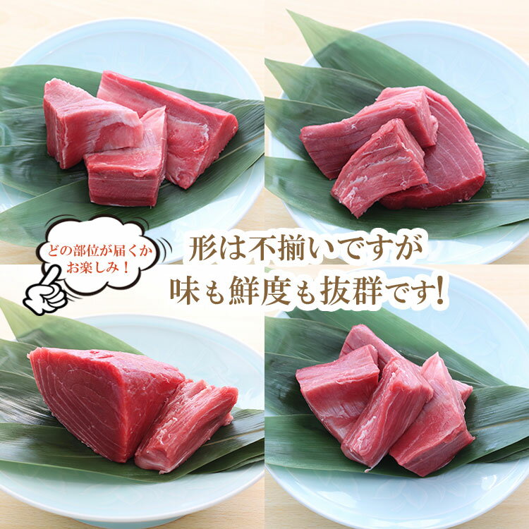 【訳あり】 早いもの勝ち 本マグロ 生 国産 500g トロ・赤身 訳ありお得セット ◆ 鮪 まぐろ マグロ 丼 本鮪 刺身 中とろ 生マグロ 本まぐろ 本マグロ 冷蔵 海鮮 刺し身 赤身 お取り寄せ グルメ ワケあり 自宅用 家庭用 お刺身セット - Image 3