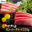 【送料無料】 ギフト 海鮮ギフトセット 母の日 まぐろ 本マグロ 大トロ 150g 中トロ 160g 310g ◆ マグロ 刺身 鮪 本鮪 中とろ お刺身 海鮮...