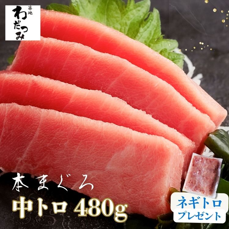 母の日 父の日 プレゼント ギフト ＼マグロ頭肉プレゼント中／ まぐろ 本マグロ 中トロ 柵 480g ◆ マグロ 鮪 本鮪 中とろ 刺身 お刺身 海鮮 刺し身 マグロ 冷凍 お取り寄せ 自宅用 夏 冬 グルメ 贈り物 贈答 記念 お祝い お中元 熨斗