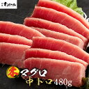 母の日 父の日 プレゼント ギフト ＼マグロ頭肉プレゼント中／ まぐろ 本マグロ 中トロ 柵 480g ◆ マグロ 鮪 本鮪 中とろ 刺身 お刺身 海鮮 刺し身 マグロ 冷凍 お取り寄せ 自宅用 夏 冬 グルメ 贈り物 贈答 記念 お祝い お中元 熨斗