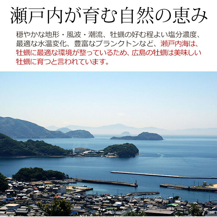 広島産カキ2Lサイズ1kgと大粒むきエビ800g バーベキュー アヒージョ
