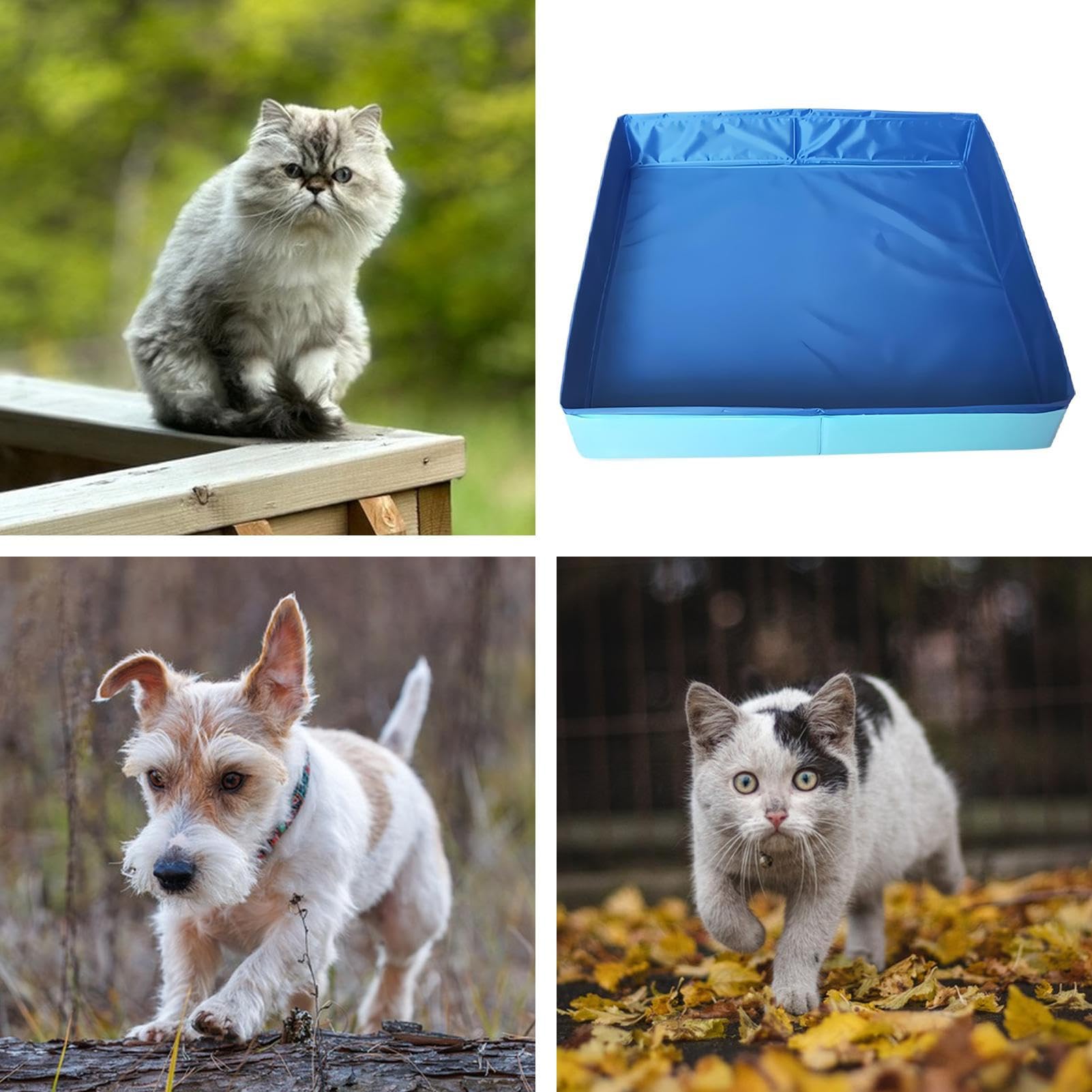 ドギーパドルプール | 犬用PVC折りたたみプール,省スペースペット用パドル兼バスタブ ビーチガーデン裏庭キャンプ場用 3