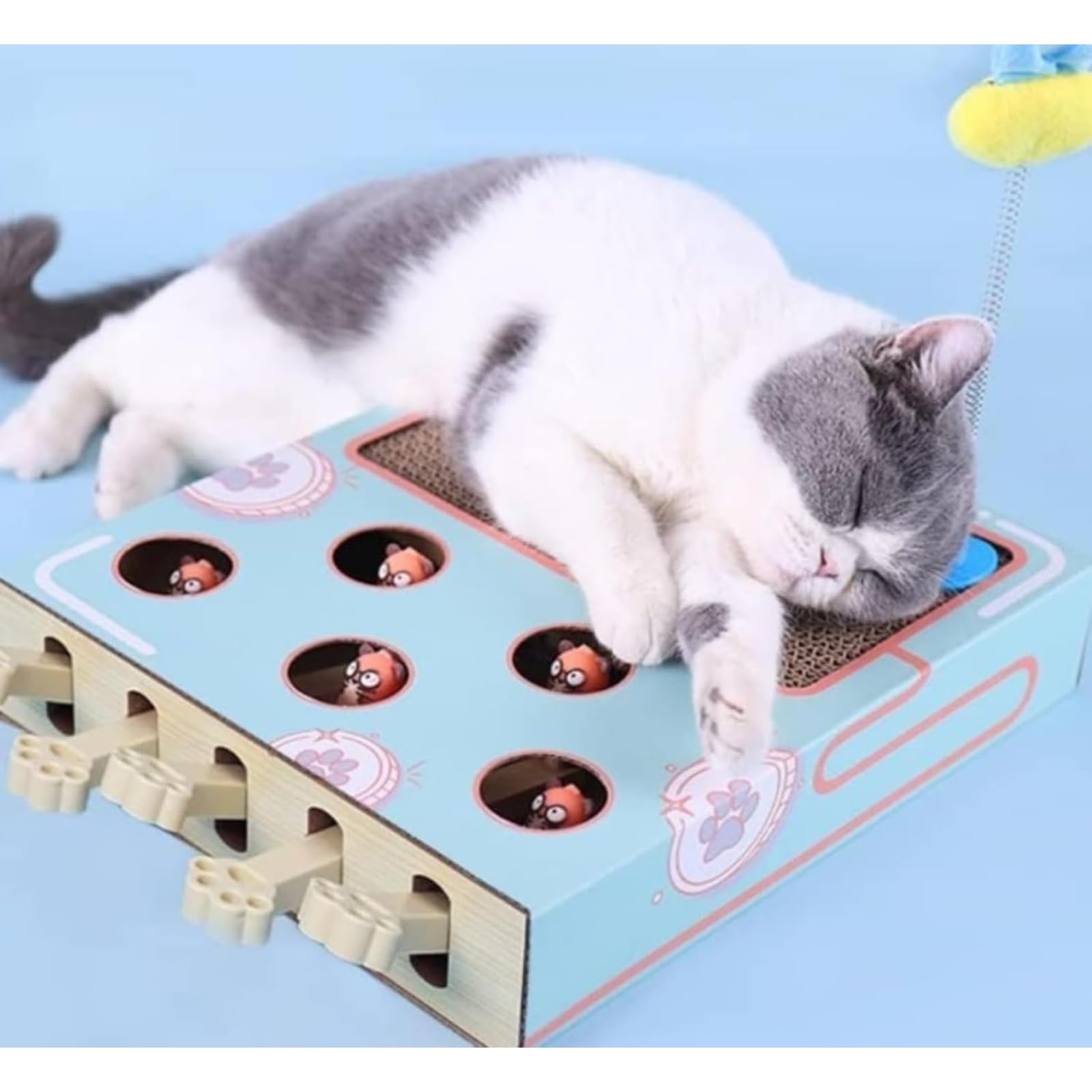 猫 おもちゃ もぐら 猫じゃらし モグラ叩き 猫遊び 猫じゃれ モグラ叩き 木箱 猫じゃらし おもちゃ ペ..