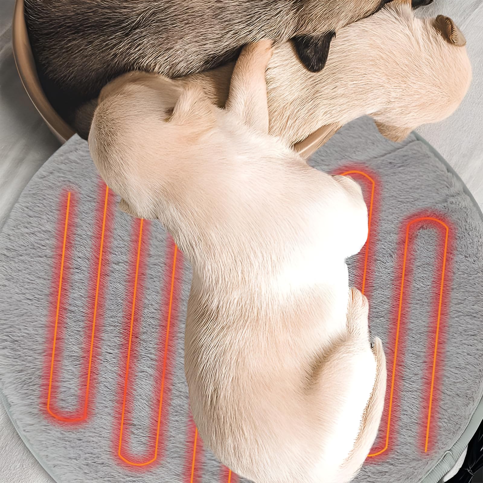 ペット用ホットカーペット 50x45cm 猫 小型犬向け 省エネヒーター 温度調節 防水難燃性 洗えるカバー ..