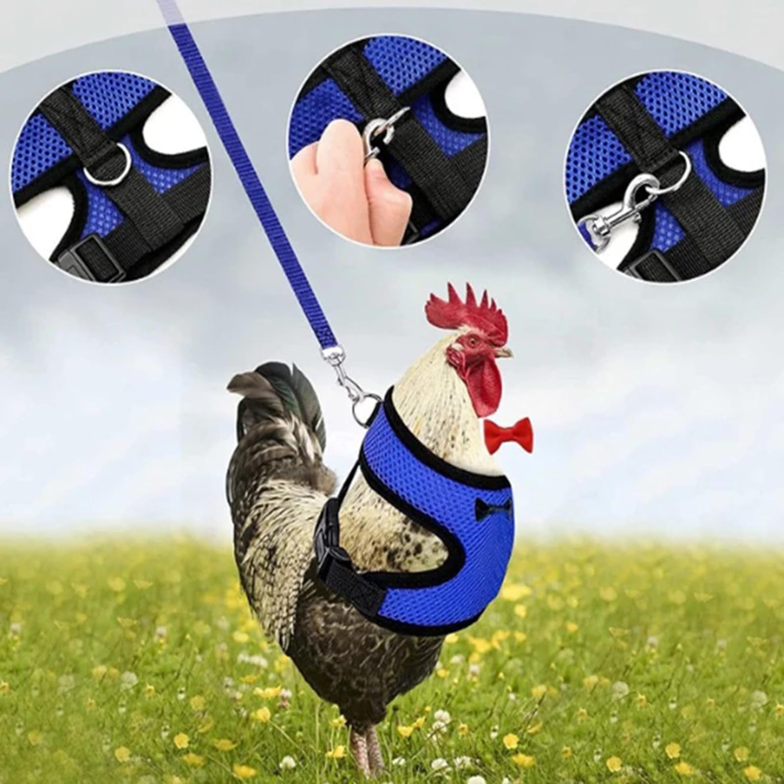 10個セット チキンベスト アヒルの散歩用ハーネス 鶏牽引ロープ ペットトレーニングハーネス めんどり ..