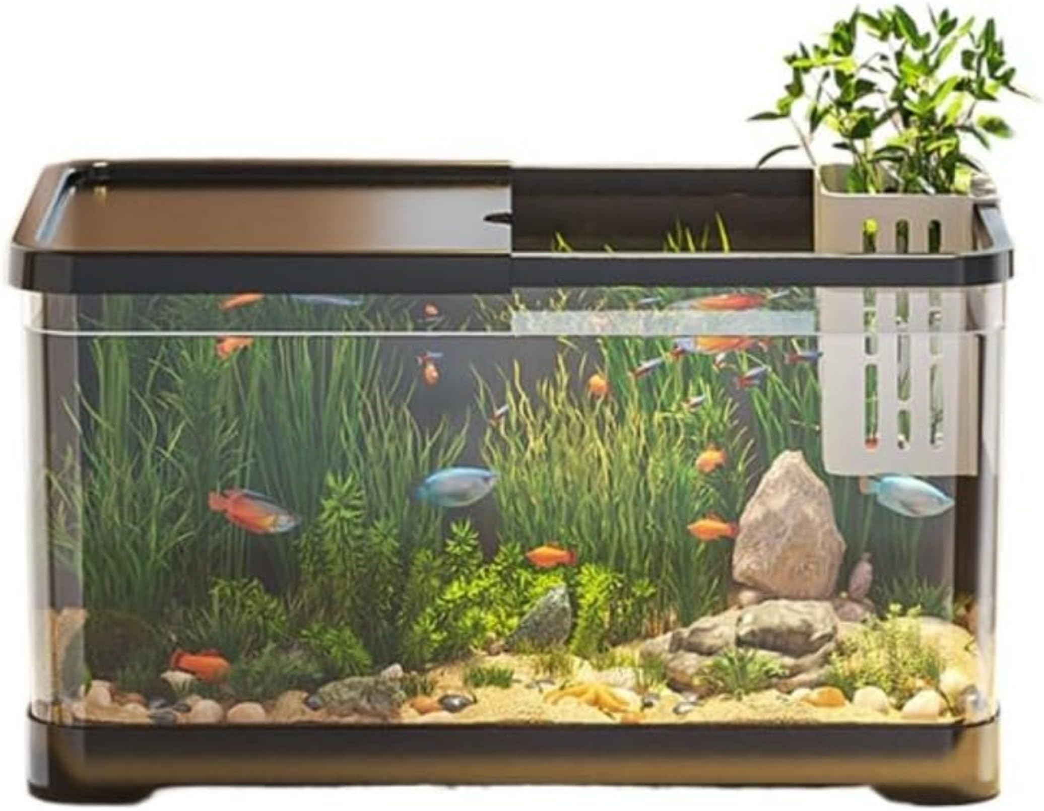 金魚水族館スターターキット 水槽スターターキット 装飾海水水族館キット 小型水族館 バスケット付き ..