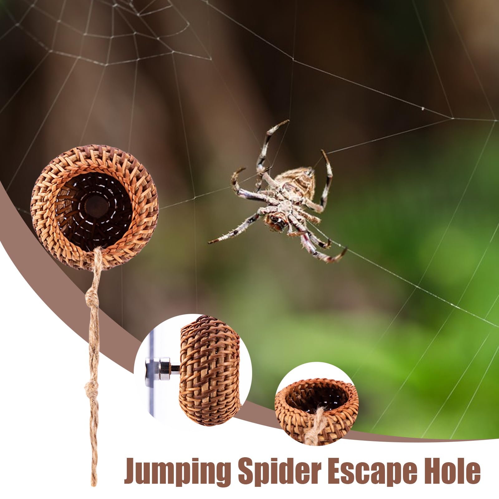 マグネット式 ハエトリグモ ハウス | クワガタ 登攀 ラタン ハビタット | 磁石付き小型デコレーション ヤドカリ カマキリ タランチュラ カタツムリ 樹上棲無脊椎動物シェルター(3)