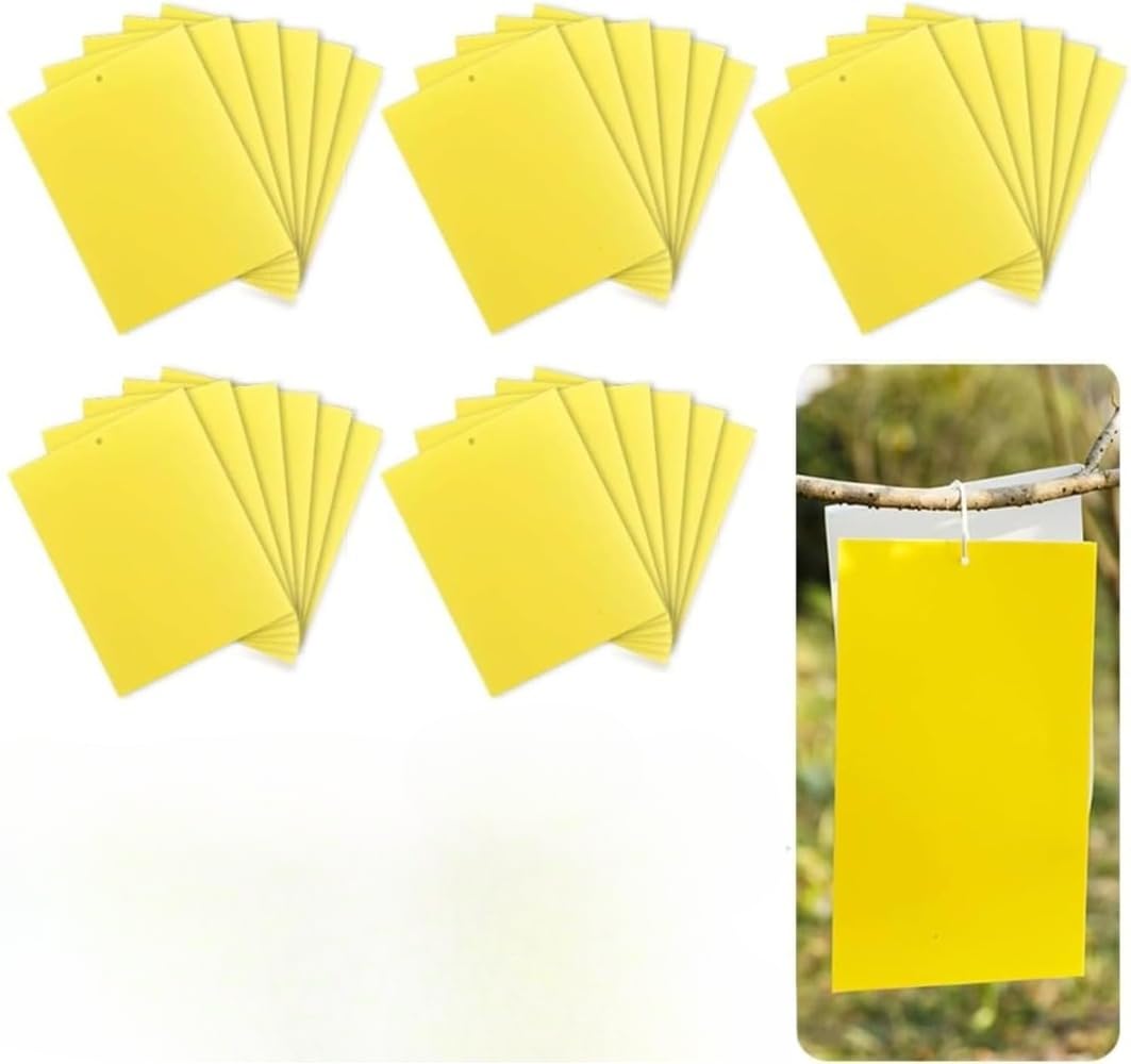 50個入りハエ取り紙 虫取り 粘着シート 両面粘着紙 粘着トラップ 害虫捕獲粘着紙 アタッチメントロープ 害虫駆除 ハエ取り 殺虫器 アブラムシ 駆除 (工場直販両面黄20 10) [並行輸入品]