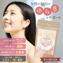\期間限定100円OFFクーポン!!/月帯-TSUKIOBI- プレミアムサプリ チェストベリー 葉酸 乳酸菌 女性の ゆらぎ サポート 15日分