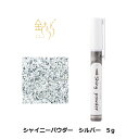 シャイニーパウダー シルバー 5g 銀箔 食用 銀粉 銀粉食用