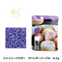 シャイニーパウダー ラべンダーパープル ビビッドカラー 0.2g ミニサイズ アイシング 着色料 製菓材料 パウダー トッピング 食用 グリッター キラキラ紫色 食用銀箔 ラメ ハロウィン
