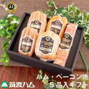 お中元 筑波ハム ギフトセット 22-04 筑波ハム 常陸の輝き 国産豚 茨城県産 ハム ギフト お礼 お祝い 内祝い 贈り物 茨城県 お土産 高級ハム 茨城 ロース ハム ソーセージ ウィンナー 内祝い お礼 お祝い 夏ギフト 父の日