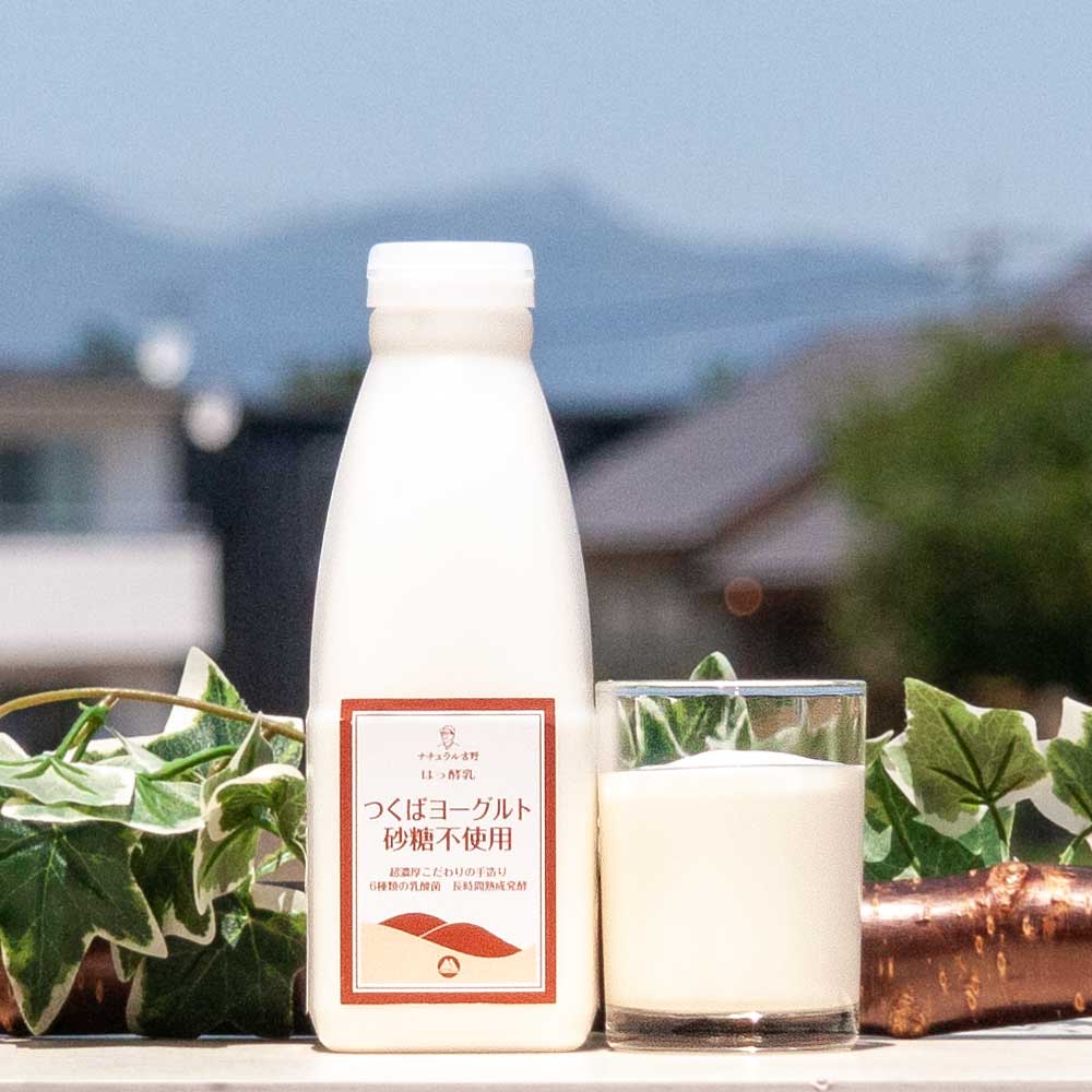 飲むヨーグルト ドリンクヨーグルト（砂糖不使用 ） 500ml 国産牛乳使用 茨城県産 無糖タイプ 無糖 プレーン 飲むヨーグルト あす楽 筑波ハム