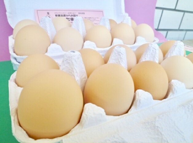 簡単で初心者でもok キャンプでの燻製卵の作り方講座 水分を飛ばすのがコツ 暮らし の
