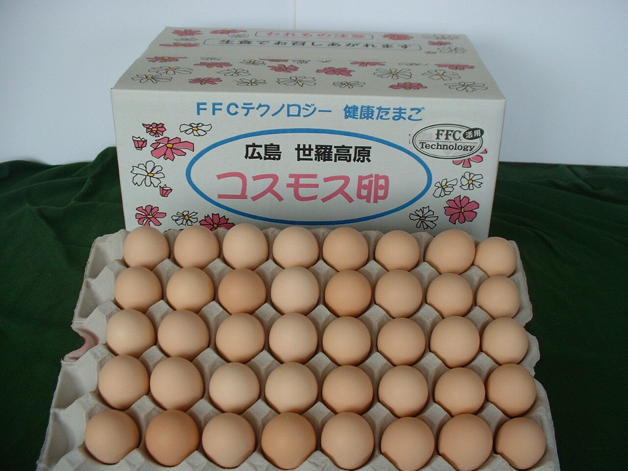 高級卵 くさみのないたまご たまご10個×14 巣ごもり究極の卵 免疫アップ 濃厚です 朝採れ 採れたて 生みたて 長崎産 おいしい自然卵 ブランド卵