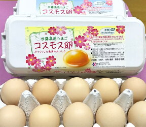 【送料込】コスモス卵　ピンク　10個入×3パック☆