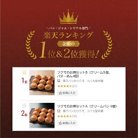 【林修のニッポンドリルで紹介!!】ツクモのクリームパン9個セット送料無料ギフトスイーツお菓子人気カスタードお土産手土産お取り寄せ