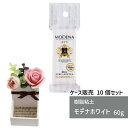 【ケース販売】 樹脂粘土 モデナホワイト 60g 10個 パジコ 軽量 粘土 樹脂粘土 使い切り 少量 図工 粘土 工作 高級樹脂粘土 初心者 初めて 造形 創...