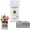 【ケース販売】 樹脂粘土 モデナホワイト 250g 40個 パジコ 軽量 粘土 樹脂粘土 図工 粘土 工作 高級樹脂粘土 初心者 初めて 造形 創作人形 フィギ...