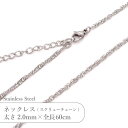 ステンレス ネックレス スクリュー チェーン JTSC-16 SS016-24 太さ約2mm 全長60cm 1本