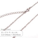 ステンレス ネックレス 潰し 小判 チェーン JTSC-2=JTSC-6 SS002-18 太さ約2mm 全長45cm 1本